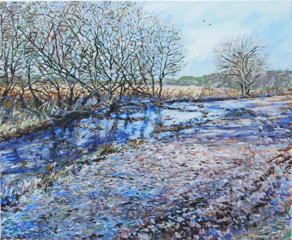 Flooded Fen lode in frost (Emily Fowke)