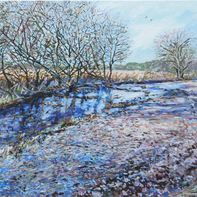 Flooded Fen lode in frost (Emily Fowke)