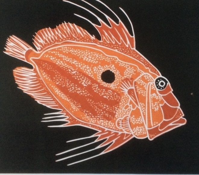 John Dory (Dubravka Roberts)