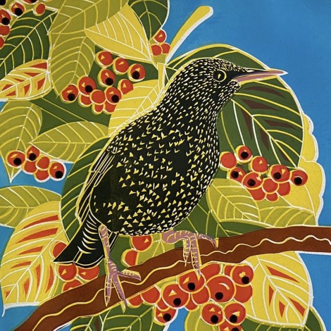 Starling Darling (Dubravka Roberts)