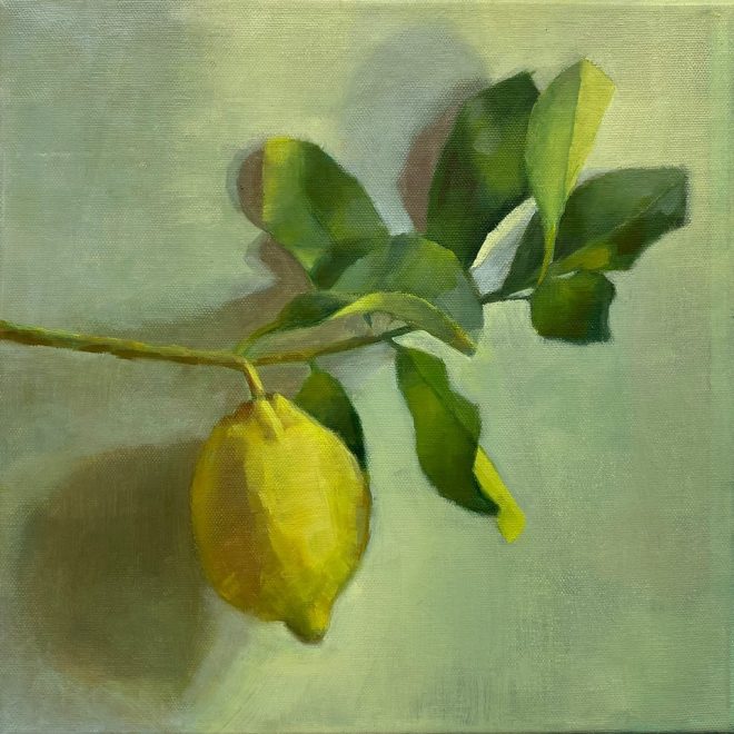 Lemon branch (Jill Mumford)