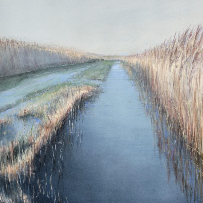 Spring wicken fen - Gil Taylor