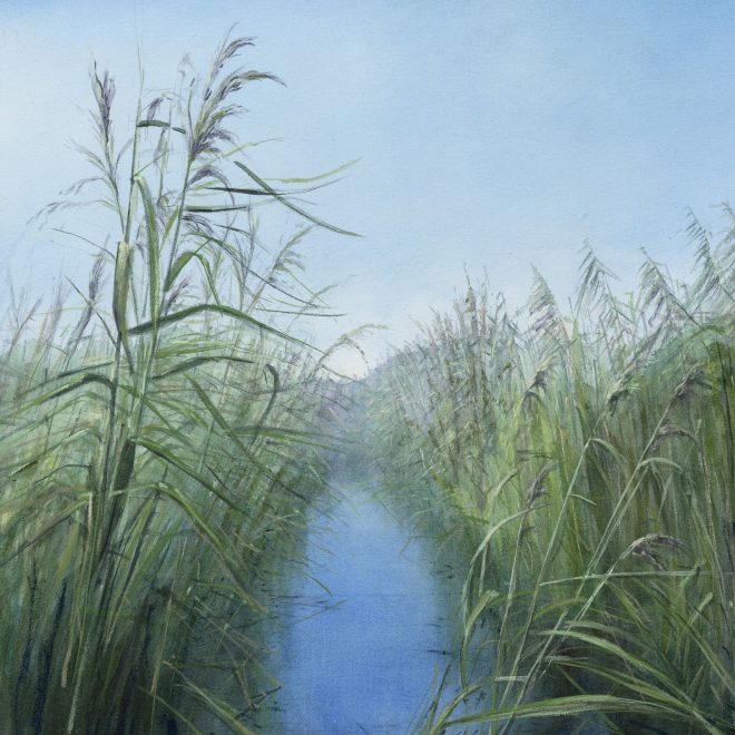 Summer fen - Gill Taylor