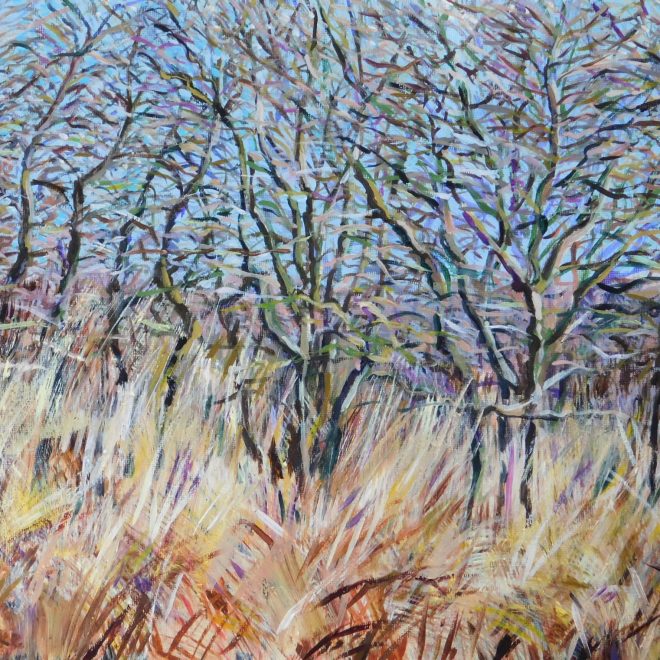 Fen trees and grass on bright winter day (Emily Fowke)