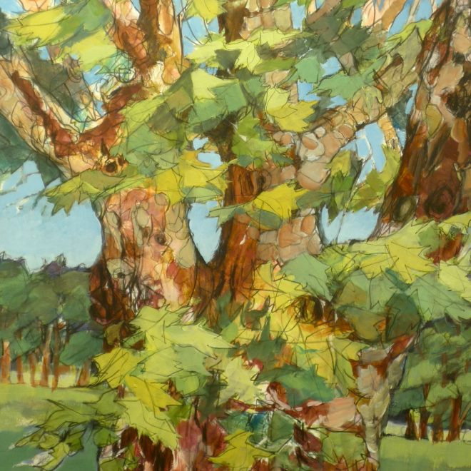 London Plane (Cathy Parker)