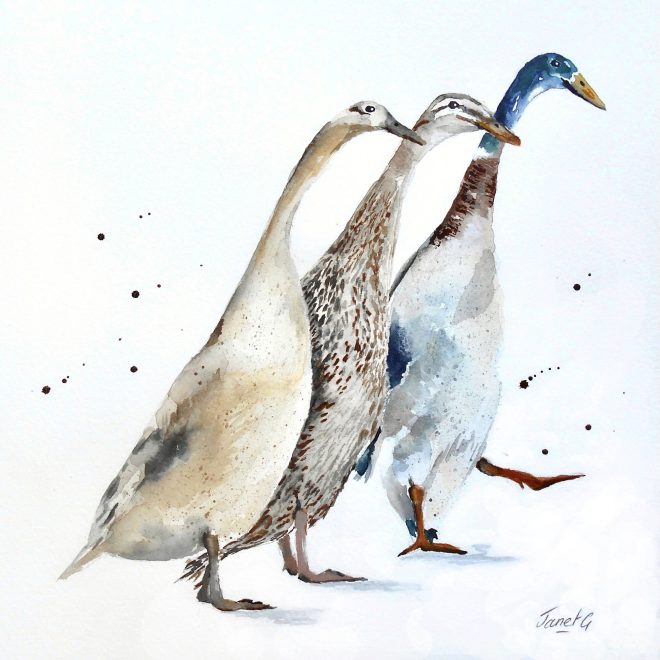 Runner Duck Trio (Janet Gammans)