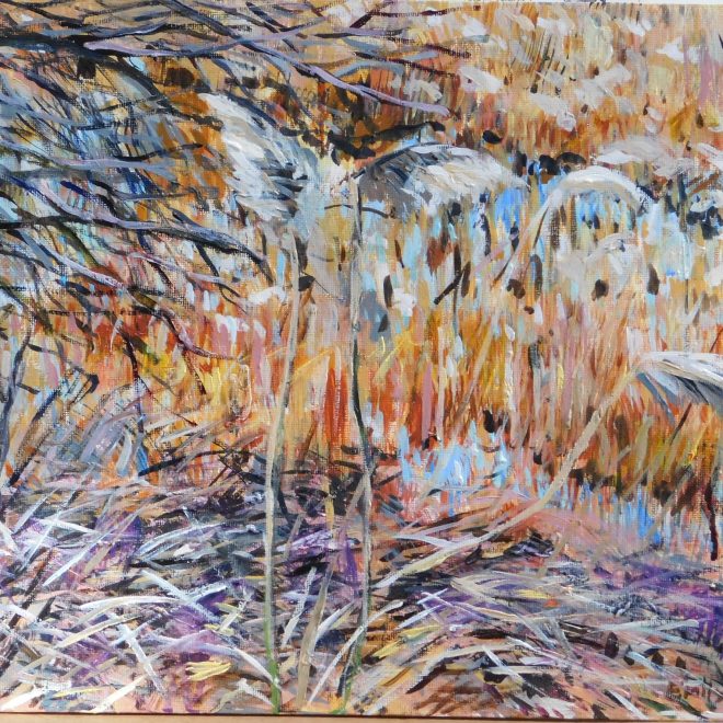 Up close grass by the frozen Lode (Emily Fowke)