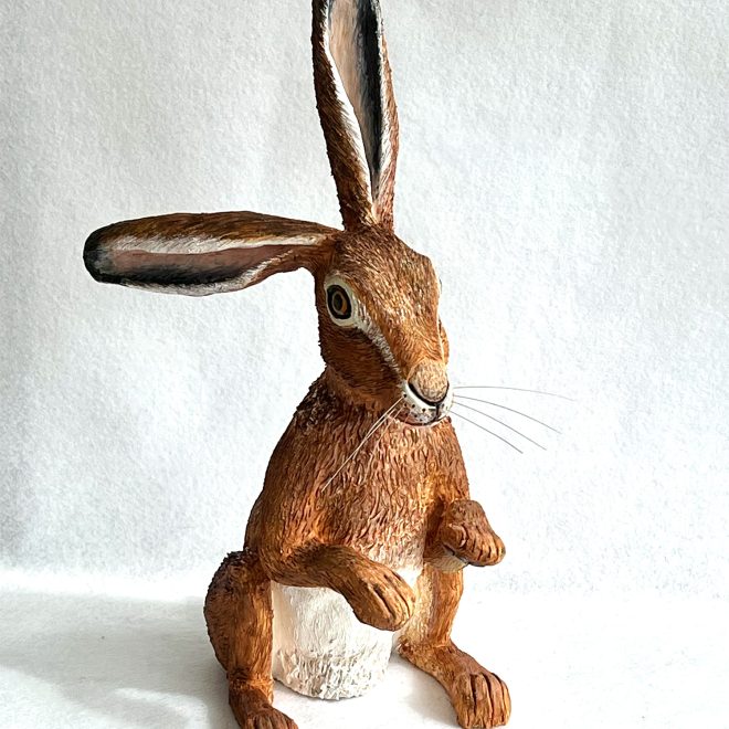 Brown Hare (Janice Anderson)