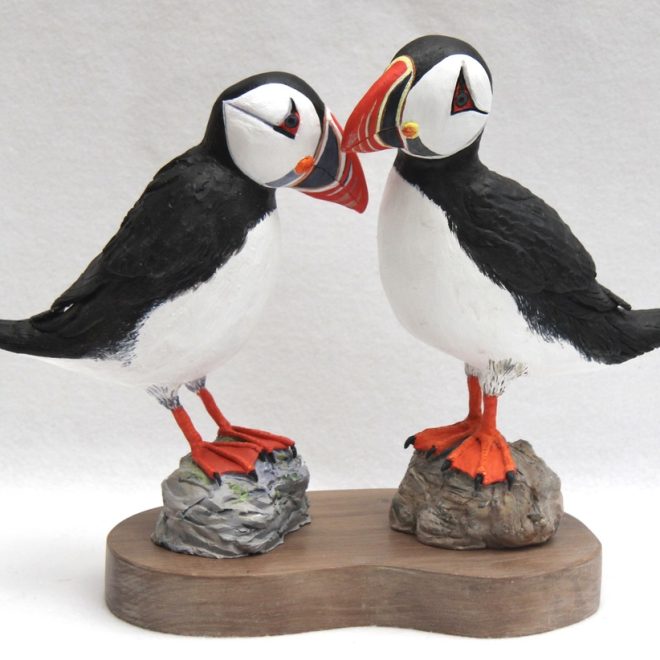 Puffins (Janice Anderson)